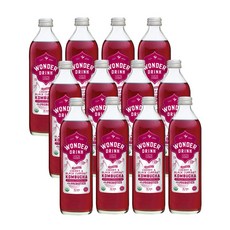Low 칼로리 프리바이오틱스 유기농 탄산수 원더드링크 콤부차 414ml, 12개