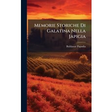 (영문도서)Memorie Storiche Di Galatina Nella Japigia Hardcover, Hutson Street Press, English, 9781024550993