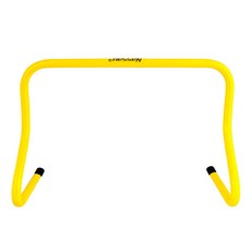 WISHPICK 축구훈련용품 미니 허들 30cm 학교체육용품, 낫소 축구훈련용품 미니 허들 30cm (NZT, 1개