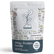 푸른빈 WPI 분리유청단백질 분말 가루, 500g, 1개 500g, 1개