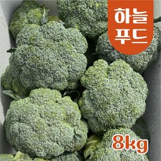 (8kg/Box) 수입 브로콜리 브로컬리 식자재[원산지:중국], 8kg/Box, 1개