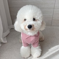 Grooming Dog 寵物機能性高領內搭T恤, 粉紅色