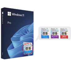 마이크로소프트 윈도우 11 Pro 처음사용자용 한글 패키지 FPP (USB 포함/공식 국내 유통 정품)