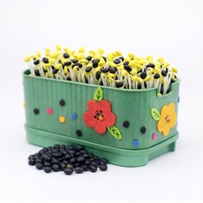 콩나물 키우기 키트 사각시루 동백, 1개