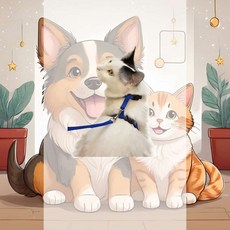 고양이 하네스리드줄 블랙 장비호환 인식표 고정장치 이중고리 디자인 길이조절