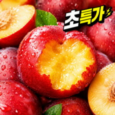 [초초특가] 장인엄선 대석 후무사 제철자두, 1박스, 1kg(대과)