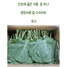 [임가네농산] 케일 국내산 케일 케일1박스 쌈용 쌈케일 2KG 특수야채 케일, 1개