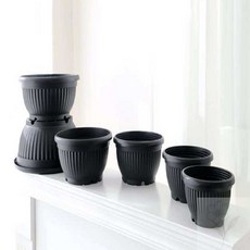 너블룸 분재 호박화분 예쁜화분, 17x11cm