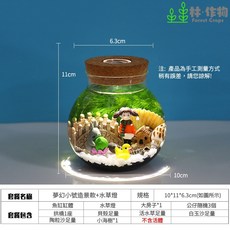 林作物 DIY生態瓶微景觀造景生態瓶全套 造景水草公仔燈保養工具組 各尺寸隨您挑 鬥魚缸 微景觀造景缸, 1個, 小號