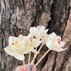 花大伯擴香棒AB 4cm 5支裝，輕鬆替換香氛，維持室內清新，安全無毒材質, 1個
