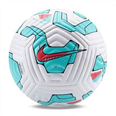 나이키 아카데미 FZ2966-104 축구공