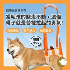 【CHL】高齡犬 後腿輔助帶 術後復健 步行支撐 上廁所免脫 依犬型分尺寸 貼合身型 寵物 穩固安心, 1個, M號