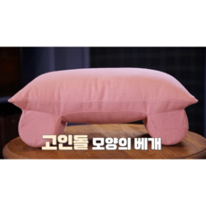 쿠팡 주문 1개 성공DNA 홍성돈 숙면베개 황금나침반 성공의정석꾼 베리굿베개, 핑크