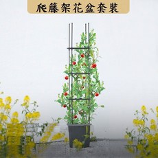 爬籐架花盆套裝 黃瓜番茄攀爬支架 爬藤植物支架 茄子豆角四季豆小黃瓜豆架, 1個, 1套裝