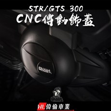 偉倫精品零件 Ghost factory AEON STR GTS 300 CNC鋁合金傳動外蓋，提升散熱，保護傳動系統，多色可選, 1個