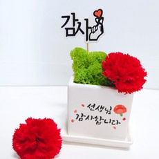스마일컴퍼니 감사 캘리그라피 모스 화분선물세트, (라)_감사 카네이션 캘리 모스-선생감사캘리, 1개
