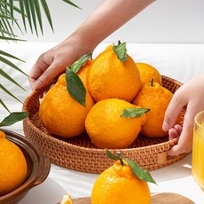 [더조은] 하우스 한라봉 중소과 혼합과 실중량 2.5kg, 1박스, 2500g