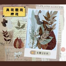 天然真花押花材料包 DIY乾燥花 綜合壓花素材 6款20片, 自然綜合包E