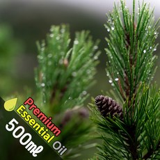 J026 파인65 500ml (Pine65 Essential Oil) 천연에센셜 오일 원액 아로마, 1개