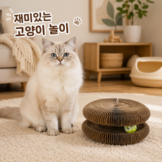 커버원 귀여운 손풍금 스크래쳐 고양이 장난감, 1개, 베이지