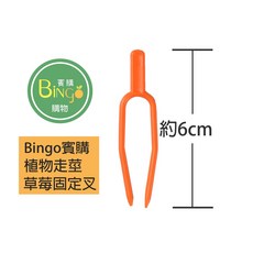 賓購 台灣現貨 植物走莖固定叉 草莓固定叉 瓜果藤固定叉 匍匐莖固定10入, 1個, 6cm固定叉10支入
