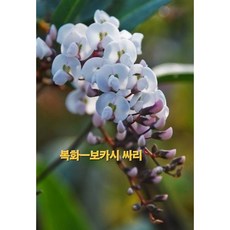 [지인야생화] 싸리-보카시싸리-복색싸리-소품, 1개