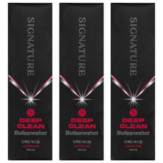 불스원샷 시그니처 딥클린 500ml, 가솔린/휘발유, 3개