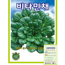 식물의집 비타민채씨앗 비타민채 그린비타민 씨앗 씨, 1개