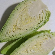 제주산 고깔양배추 꼬깔 원뿔 양배추 3kg 5kg