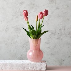 MODERN HOUSE 모던하우스 튤립부쉬 x5 41cm 로즈핑크 806477