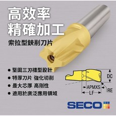 SECO 車刀片 MM16-20015-R30A30-M06 F40M 精密金屬加工 耐磨損, 1個