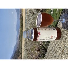 황매실청 매실청 지리산 하동 3년숙성 황매실 발효액 황매실원액, 1개, 황매실청 1000ml