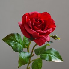 한송이 낱개 장미꽃 생화같은 조화 빨강 리얼장미, 1개, 레드