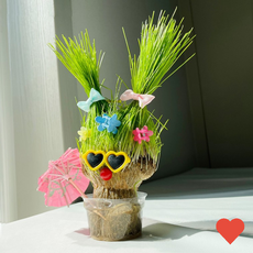 DIY자재 잔디 인형 토피어리 반려 식물 만들기세트, 1개