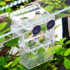 로랑마켓 물고기 부화통 구피산란통 구피치어통 구피새끼분리