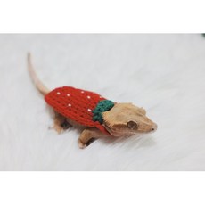 뜨개코할미 크레스티드게코 크레옷 크레스티드게코딸기옷 딸기뜨개니트 뜨개옷 도마뱀옷 도마뱀뜨개옷 도마뱀소품 뜨개코할미, 1개