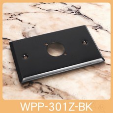 【魔音傳腦】黑色全鋁壁插蓋板(一孔佳能座) WPP-301Z-BK, 1個