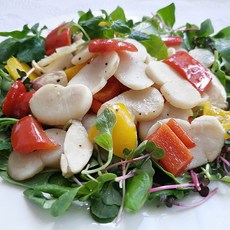 자연산 키조개관자! 거제도 키조개 관자, 1개, 500g+500g(21-30미내외)급냉