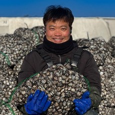 수율보장 벌교 꼬막 새꼬막, 1개, 2kg M