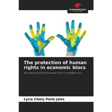 (영문도서) The protection of human rights in economic blocs Paperback, Our Knowledge Publishing, English, 9786208314385