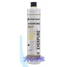 EVERPURE BH2 愛惠浦濾心, 1個
