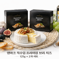 [덴마크 직수입] 데니쉬 브리 치즈 125g x 2개입 세트 / Danish Brie / 와인안주 치즈, 250g, 1세트