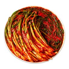 맛장군 오늘담근 파김치, 1개, 5kg