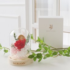 [모리앤]변함없는 사랑 프리저브드 조명유리돔 기프트박스 세트, 레드