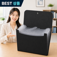 홈트루 아코디언 파일 13칸 정리함 케이스 멀티 포켓, 블랙, 1개 블랙, 1개