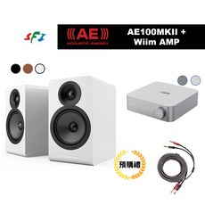 英國 AE100mkii Wiim AMP 串流 組合優惠 送線材 支援HDMI ARC 勝鋒音響 光華商場, 1個, 黑色+Wiim AMP深灰 送喇叭線,dc cable 喇叭線 2m*2
