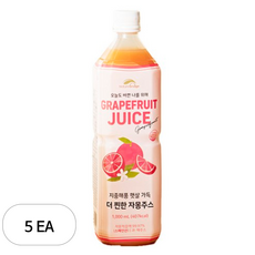 네이쳐브릿지 지중해풍 햇살 가득 자몽주스, 5개, 1L