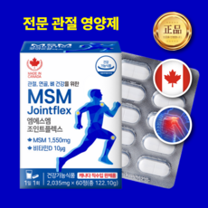 전관제 관절 골절 연골 염증 어깨 무릎 손가락 팔꿈치 뼈 붙는 약 치료제 영양제 MSM, 1개, 180정