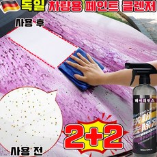 차량용 페인트 클렌저 자동차 워터스팟 제거 차량용 녹제거제 스프레이 습식 페인트 제거제 차량용 타르제거제 자동차 석회물 새똥 송진 시멘트 얼룩 찌든때제거제, 4개, 500ml