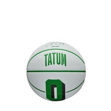 WILSON NBA 플레이어 아이콘 미니 농구공 - 자이언 윌리엄슨 미니 사이즈, 제이슨 테이텀